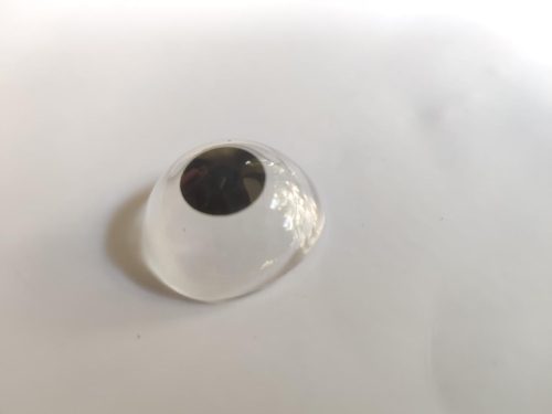 Irispaintedprosthesis